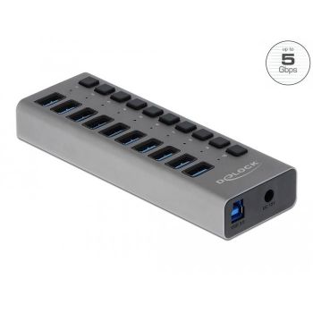 USB хъб Delock 10 x USB-A, 1 x USB-B, 5 Gbps, Превключвател, LED индикатор, Сив